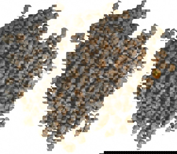 Irregular Tumbling Media: Nut Shell Carrier, Quartz Abrasive